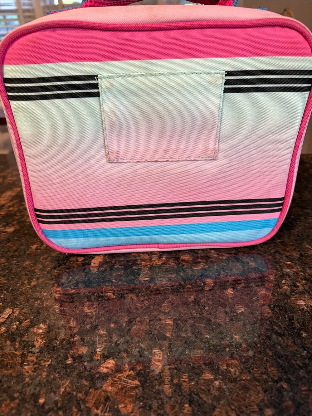 Baseball Lifestyle 101 - Insulated Cotton Candy Lunchbox - Pink & Blue